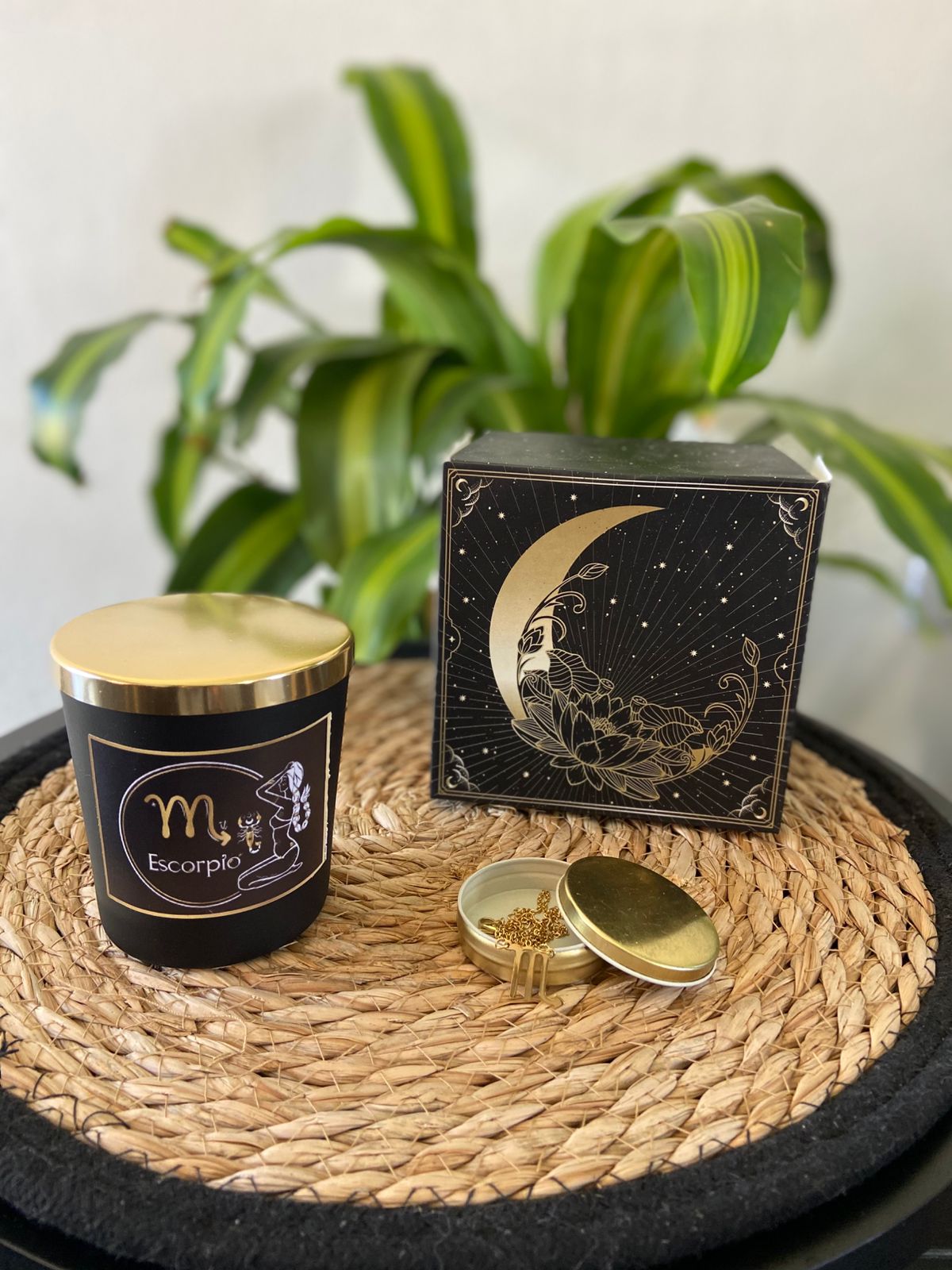 Colección Zodiacal - Imagen 10