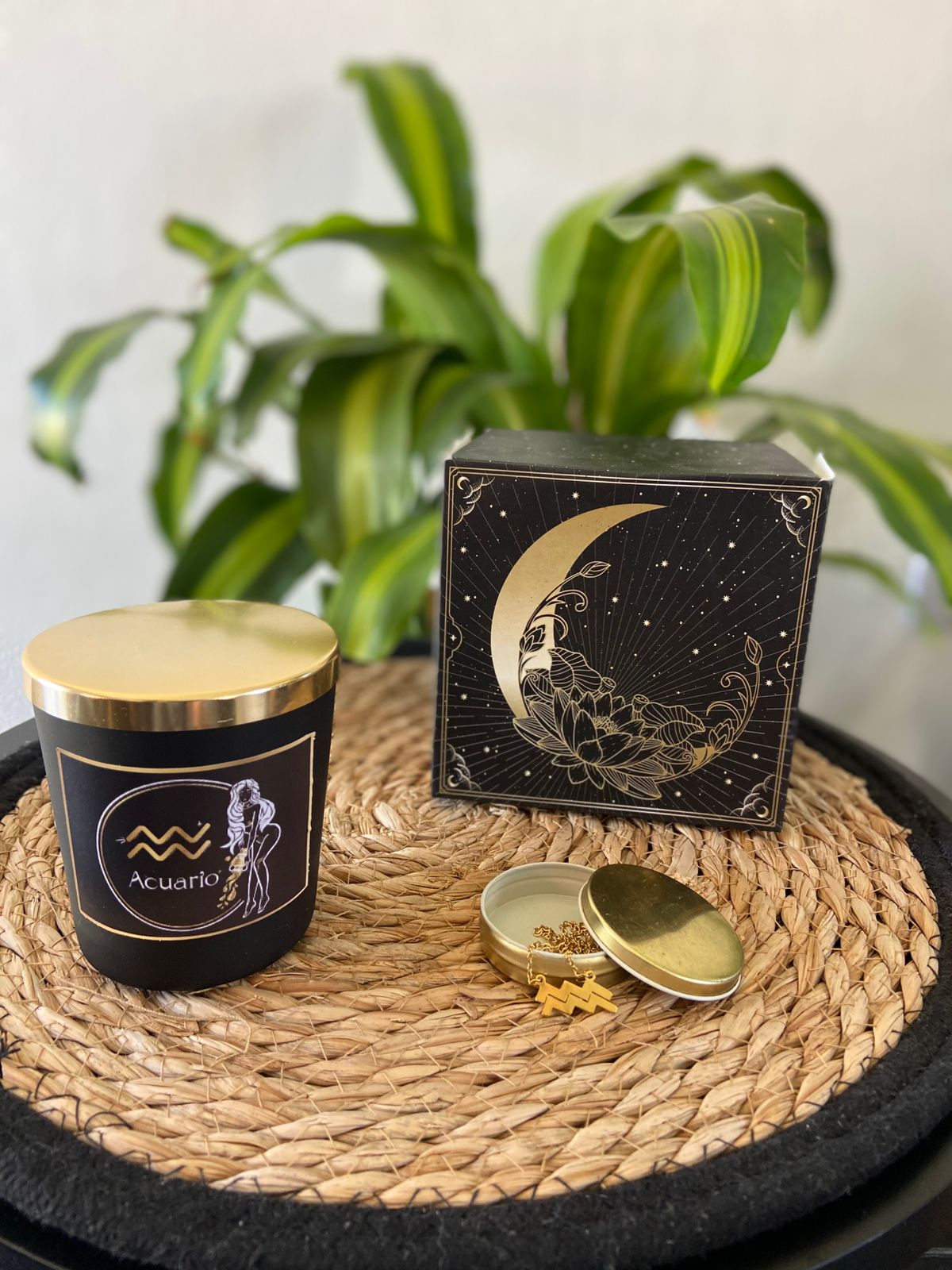 Colección Zodiacal - Imagen 16