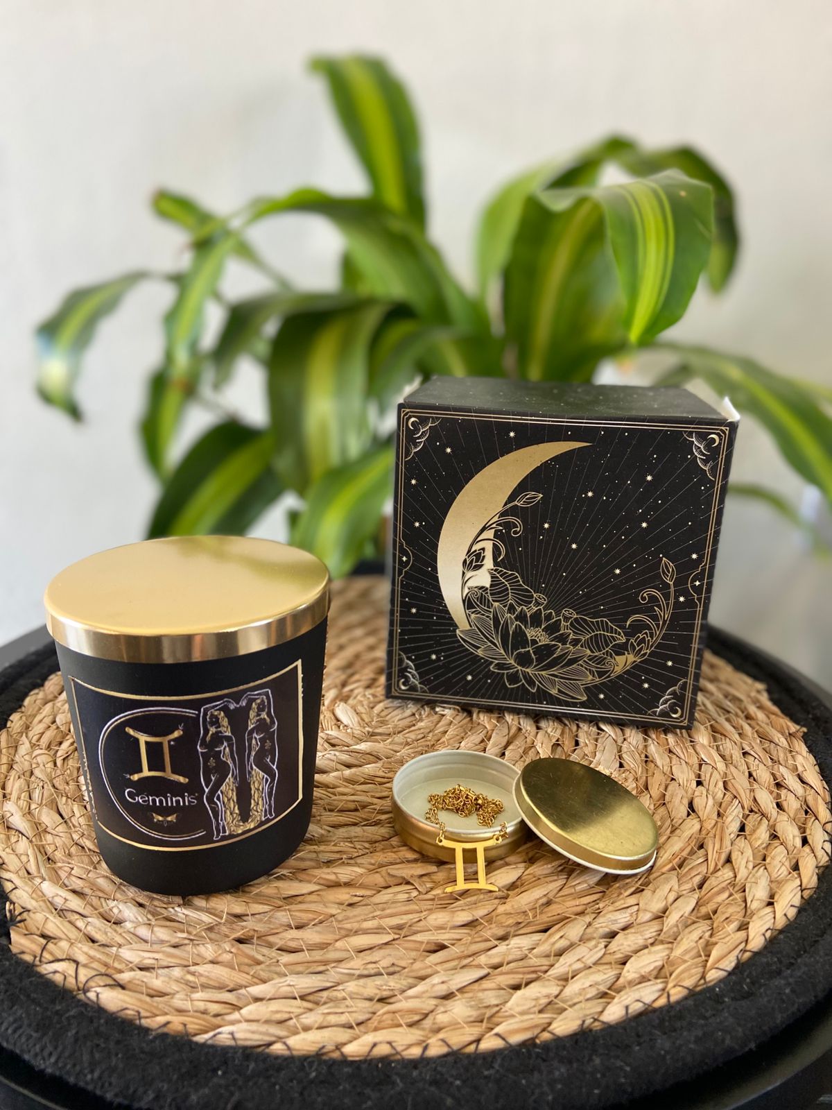 Colección Zodiacal - Imagen 20